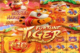 cxz777